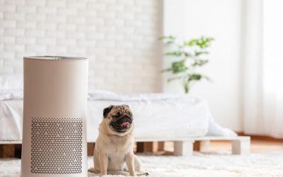 3 Uses of HEPA Filters in the Home